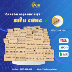 Hộp Giấy Carton